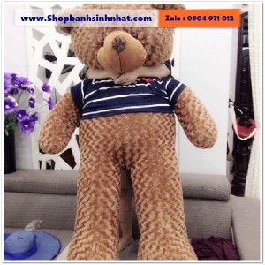Gấu Bông Teddy Hàn Quốc - GAU56